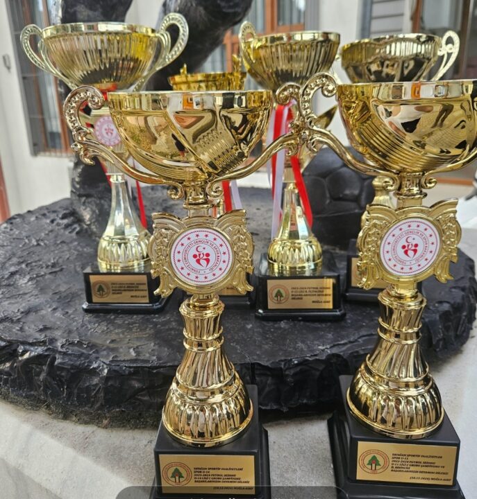 1 TAKIM, 1 SEZON, 6 KUPA